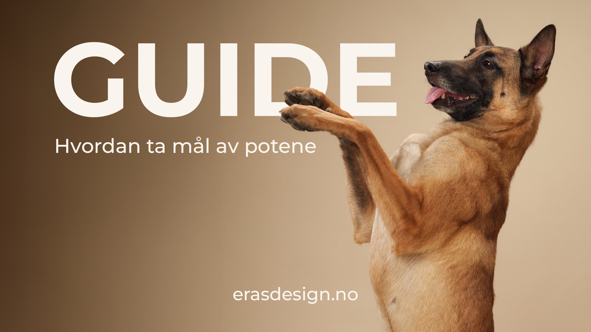 Hvordan ta mål av potene