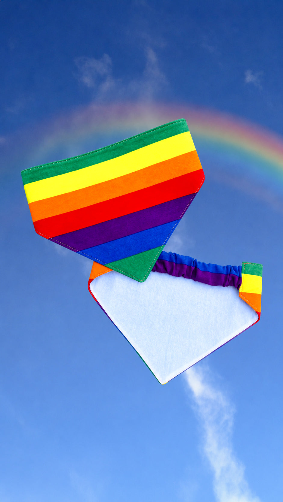 Pride bandana til hund