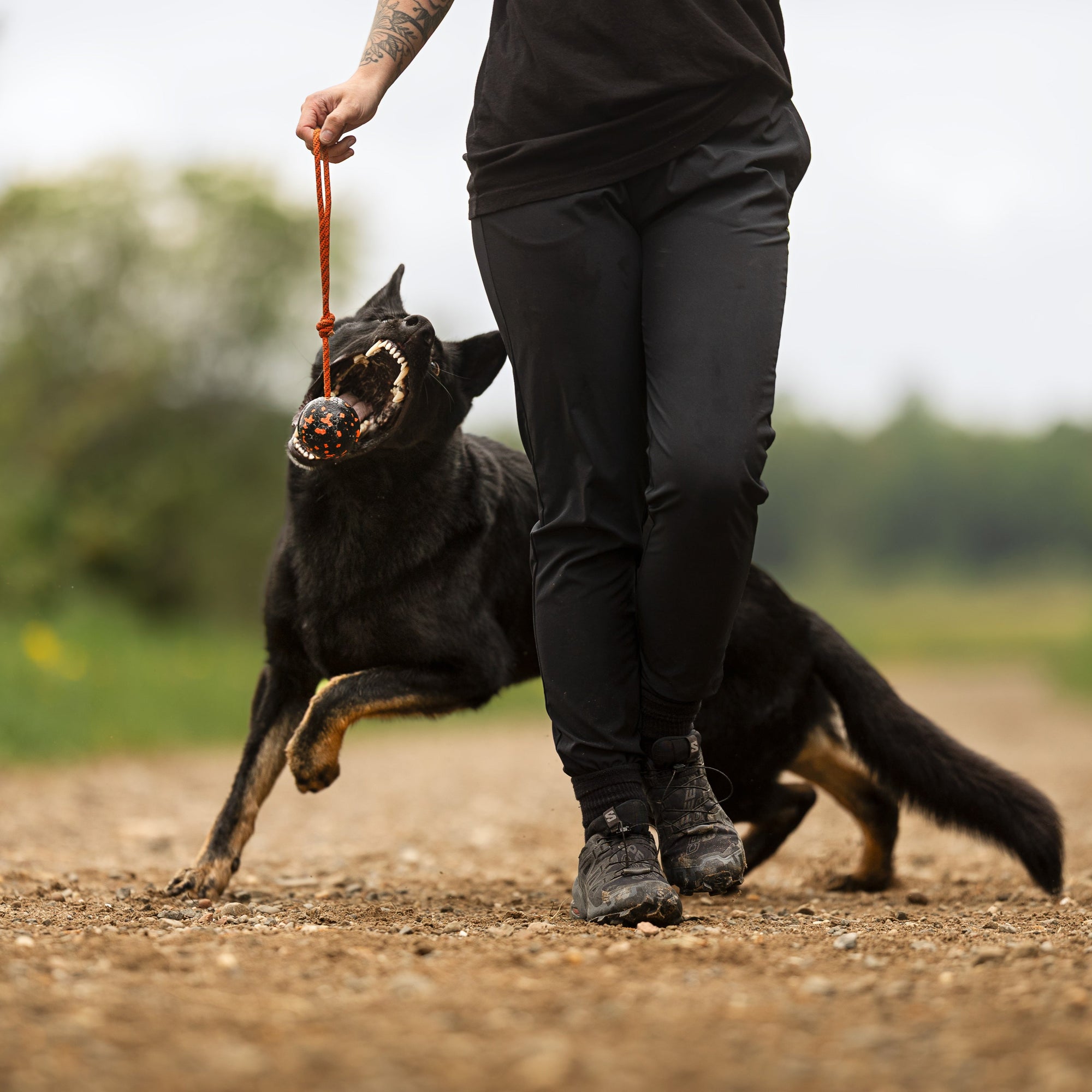 Hund & eier