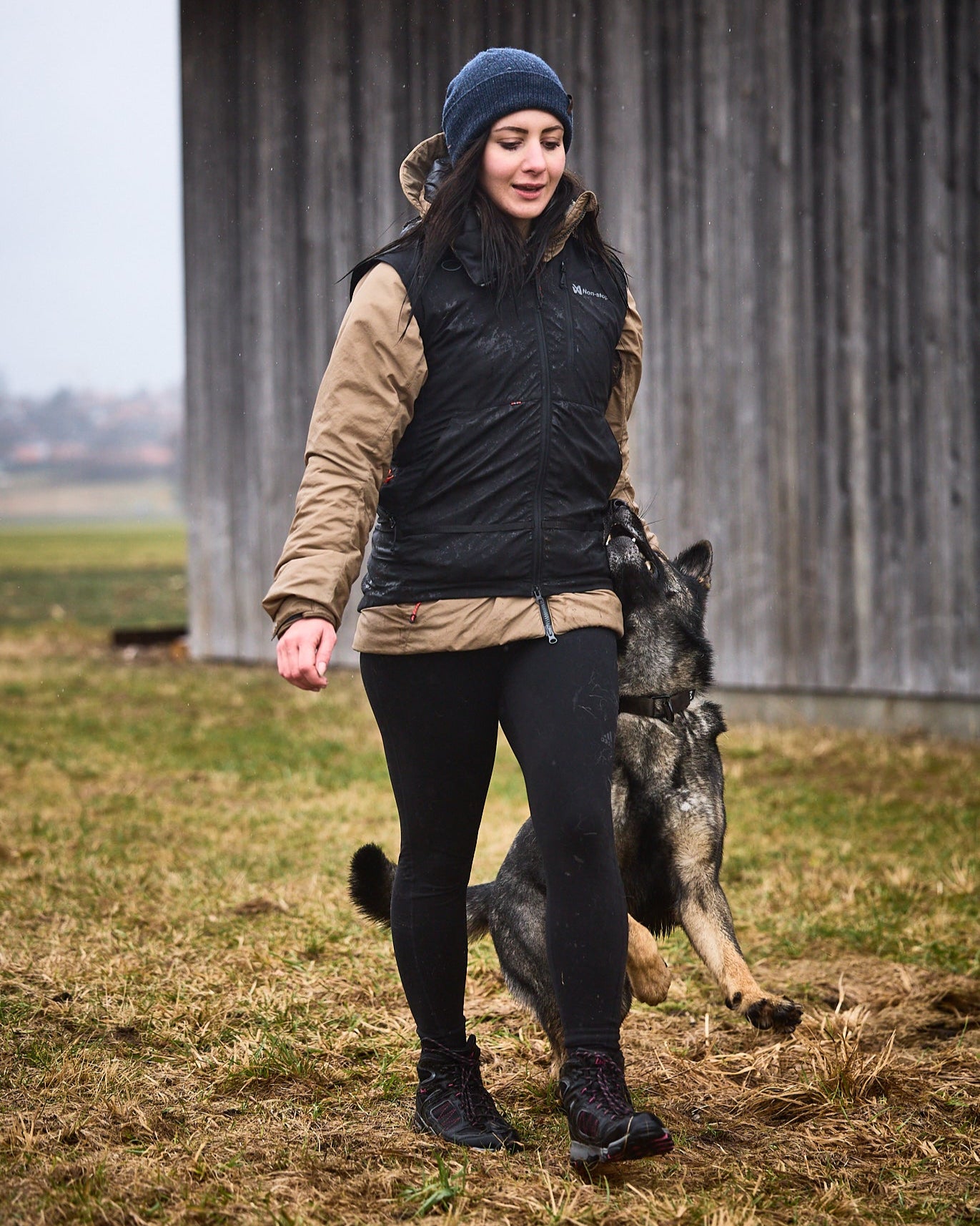Non-stop dogwear - obedience vest womens