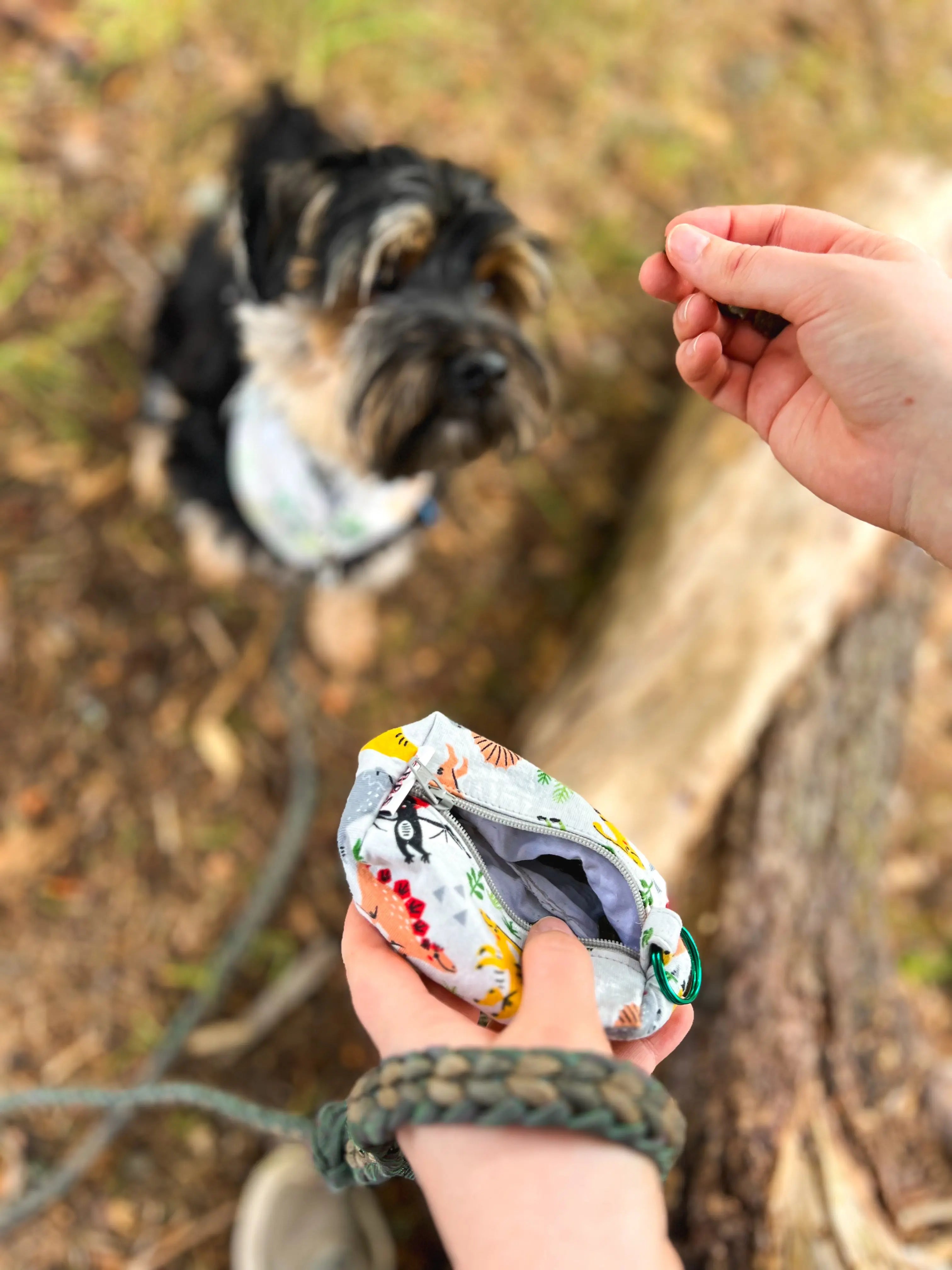 Mini boxy pouch Eras Design