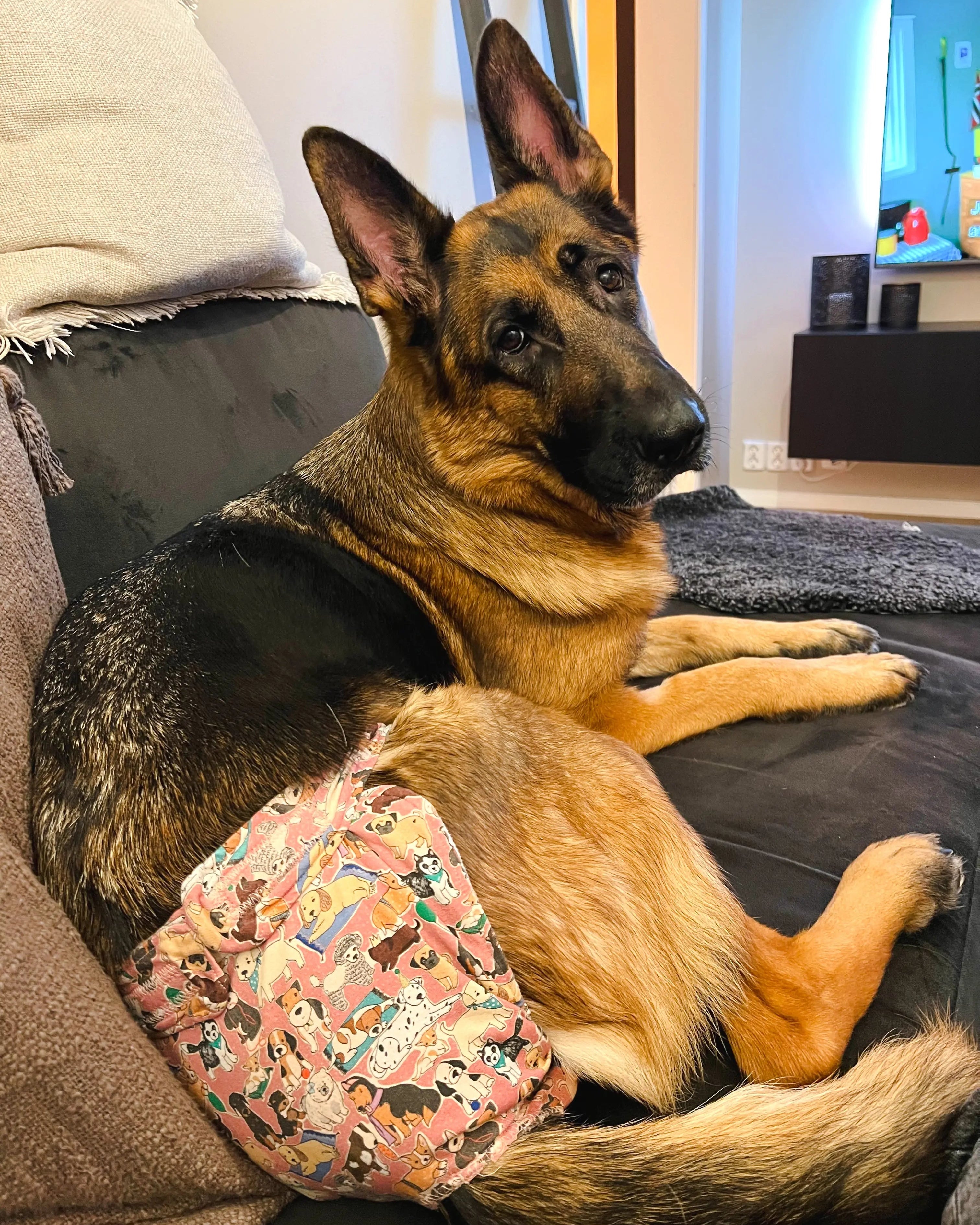 Tispetruse Eras Design