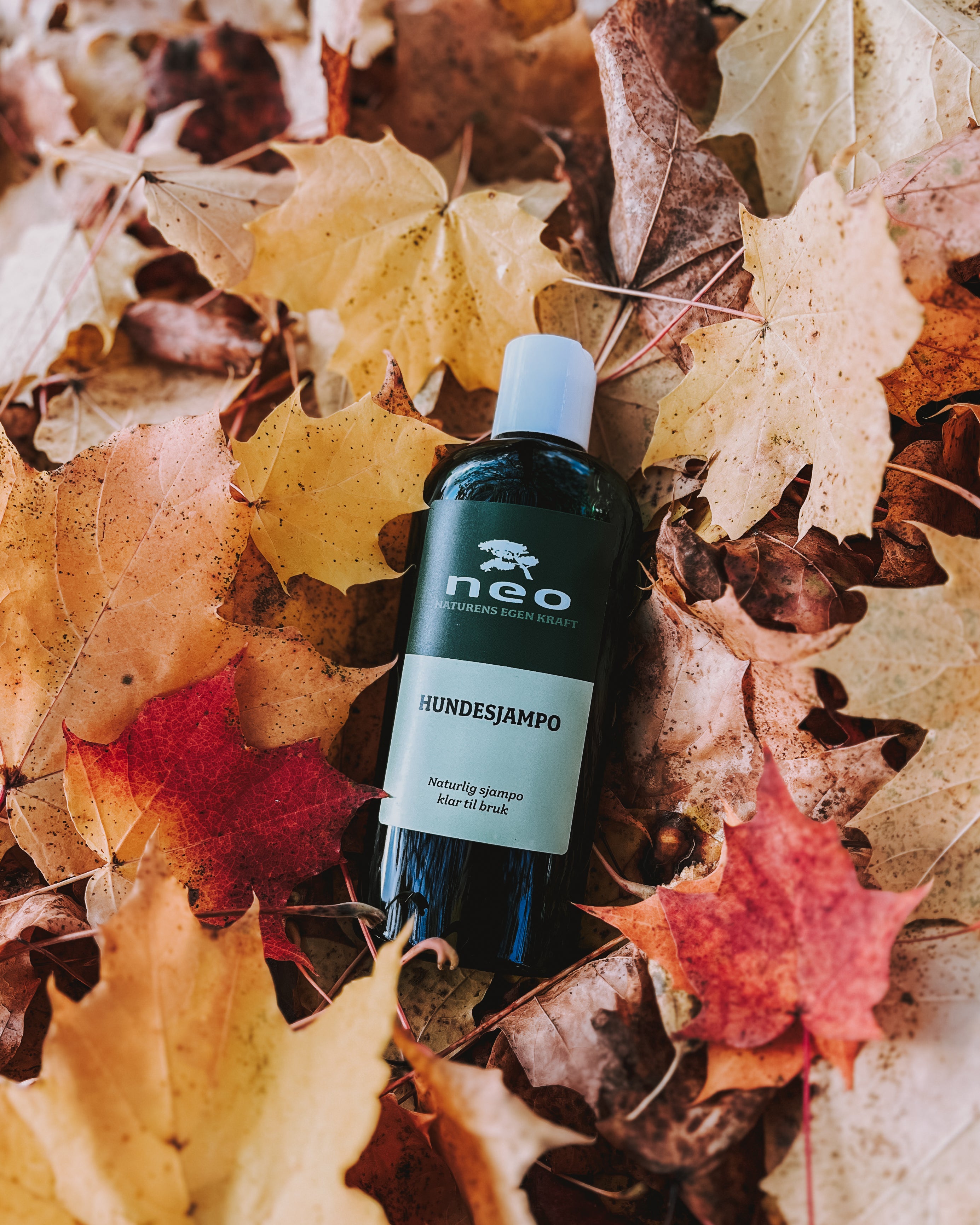 NEO - hundesjampo 250 ml