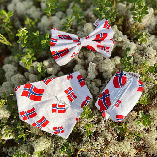 17. mai-pakken