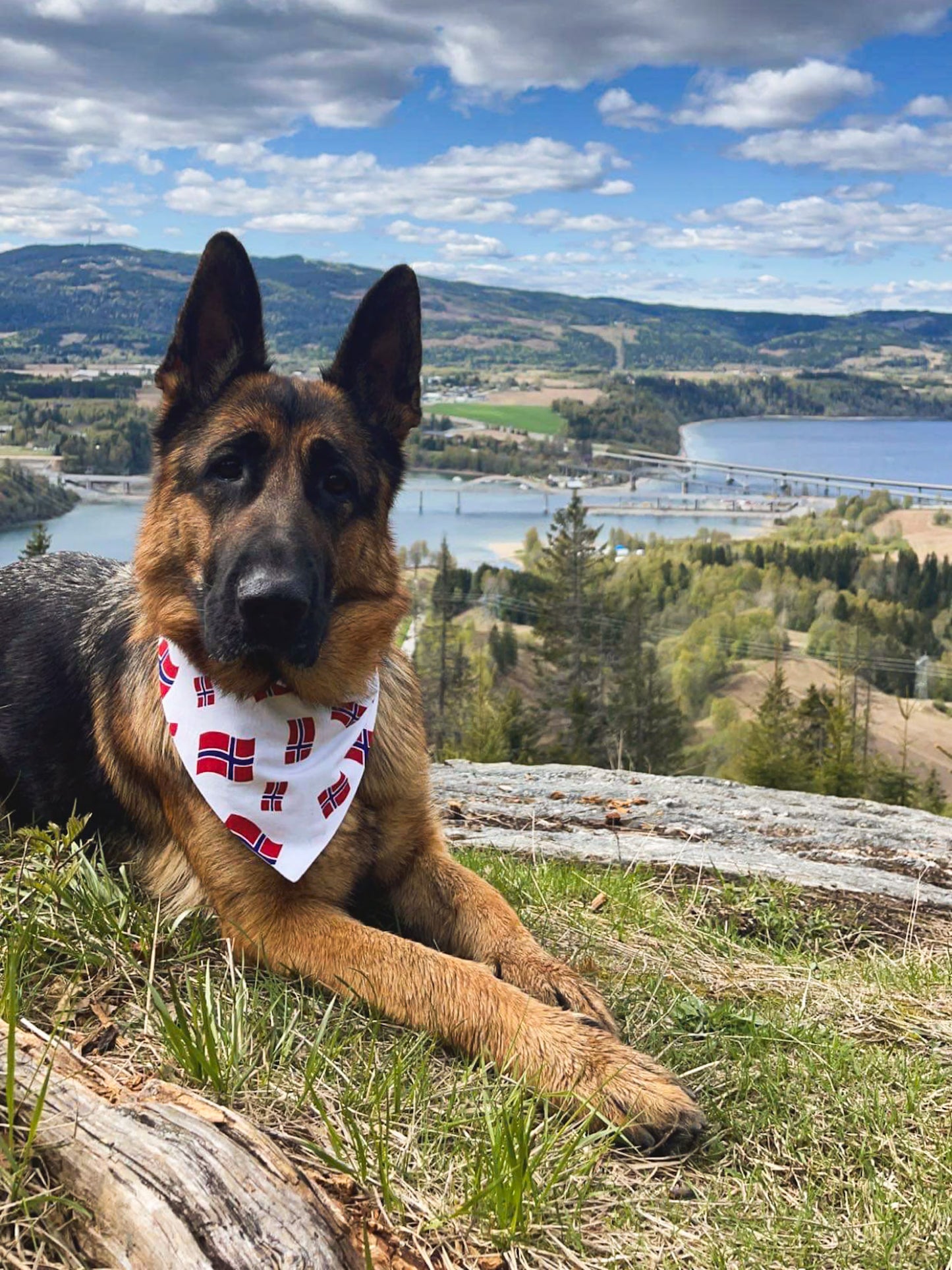 Norgesflagg bandana