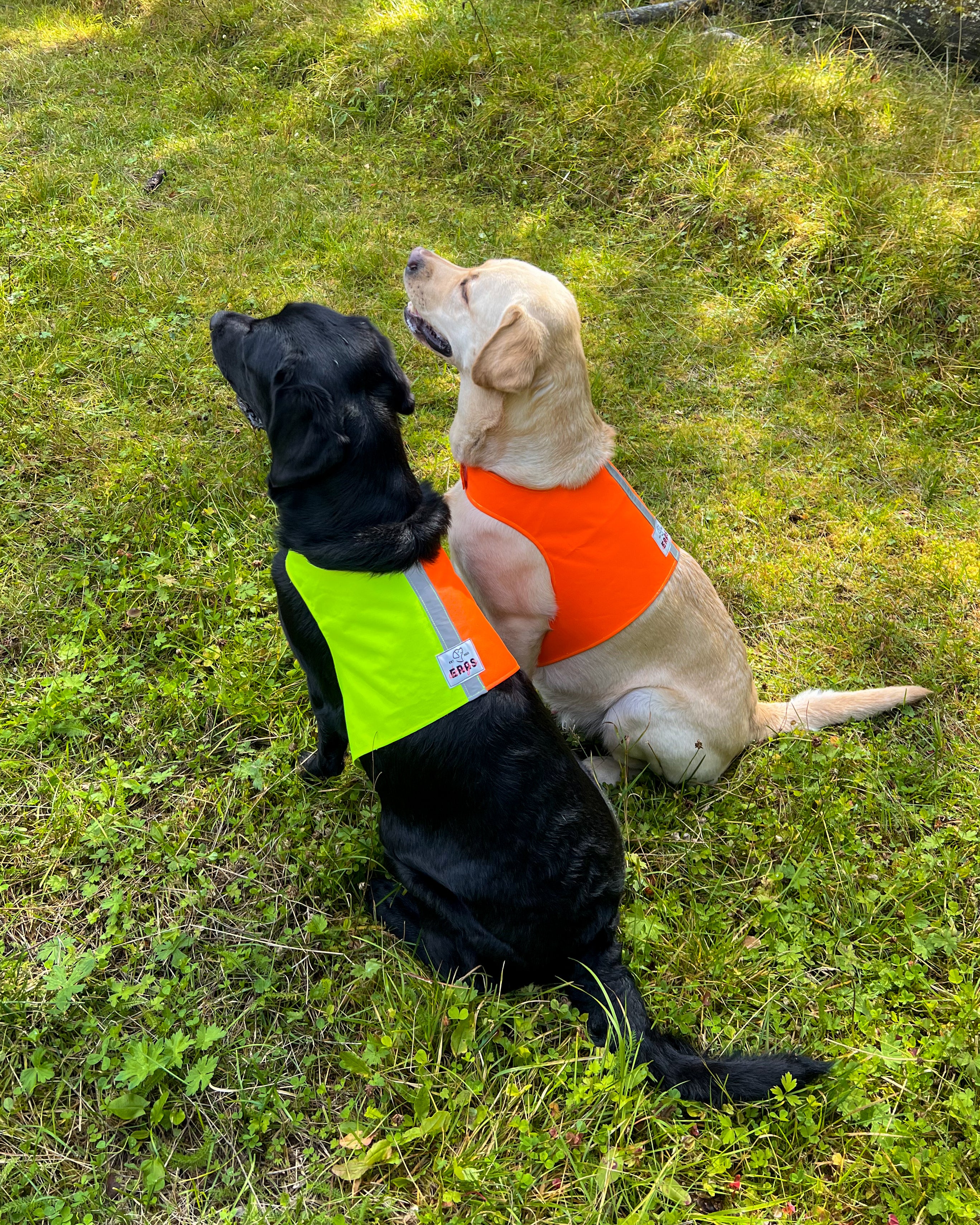 Markeringsdekken tofarget med refleks