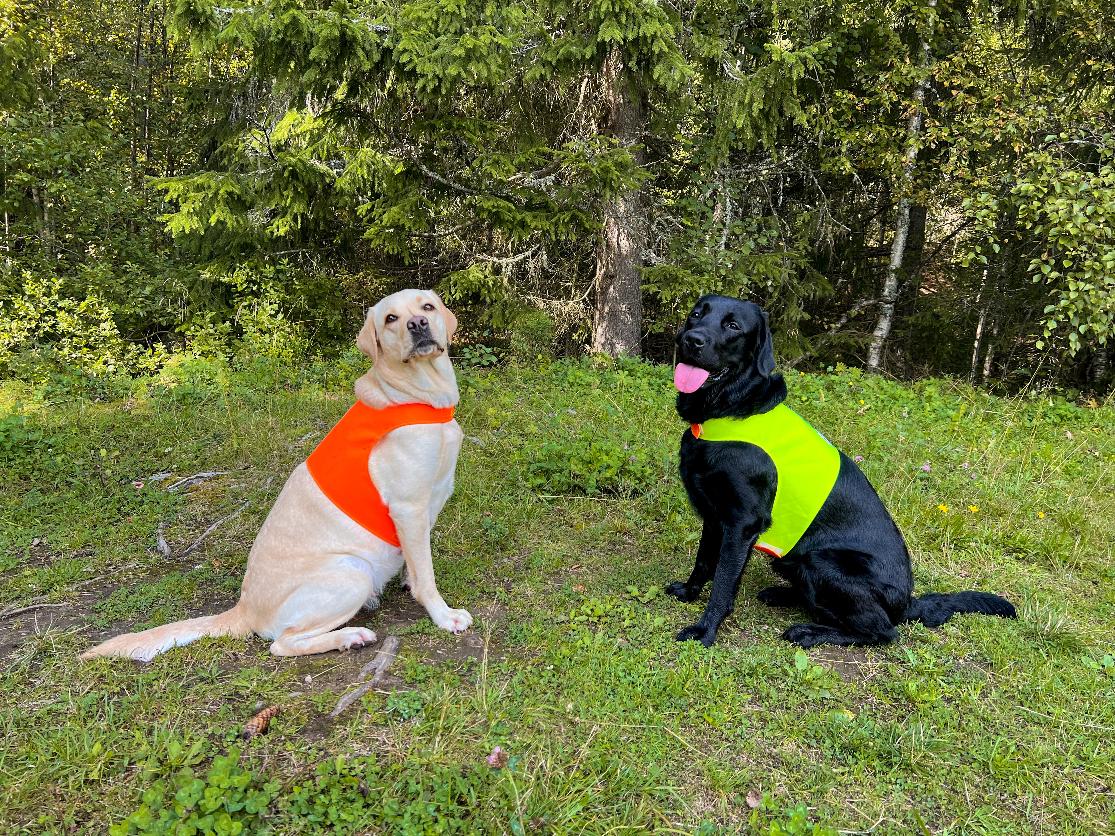 Markeringsdekken tofarget med refleks