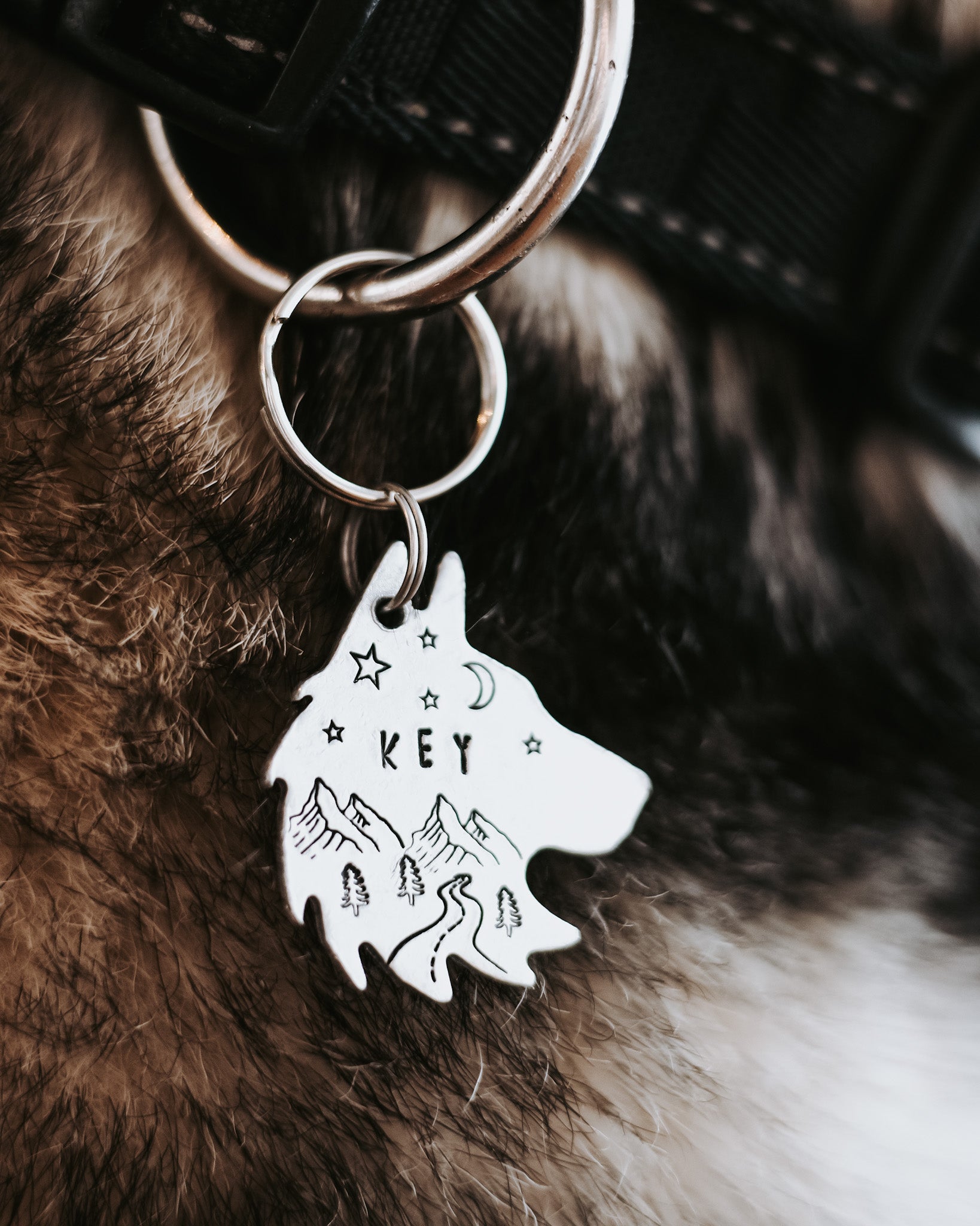 Id-brikke hund