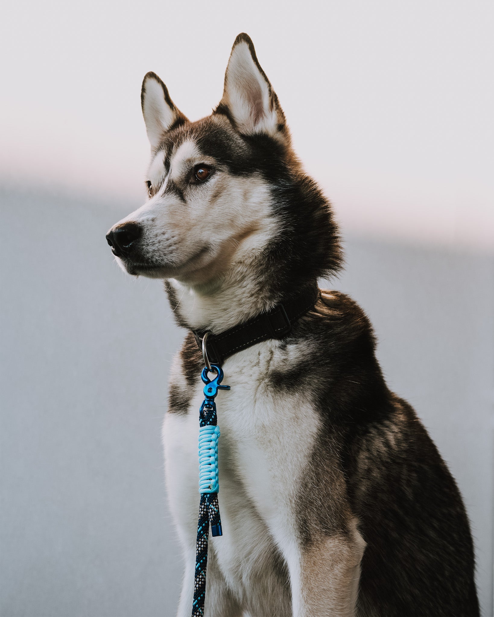 Leiebånd i PPM 180 cm