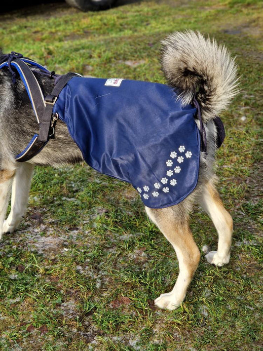 Lendedekken til hund med ullbouclè