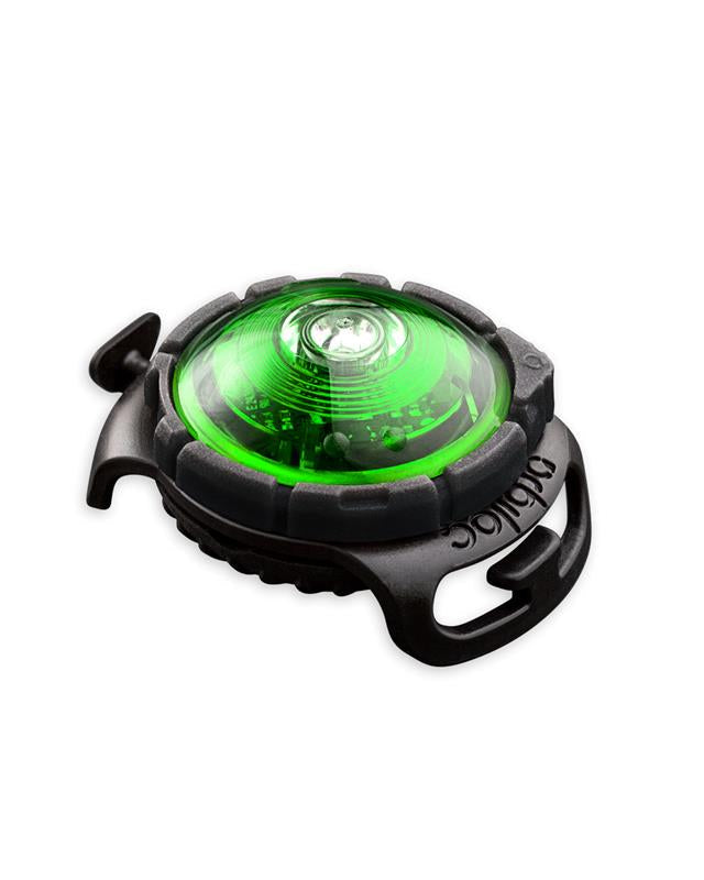 Orbiloc dog dual - sikkerhetslys