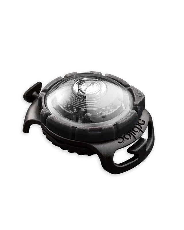 Orbiloc dog dual - sikkerhetslys