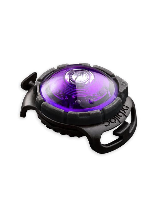 Orbiloc dog dual - sikkerhetslys