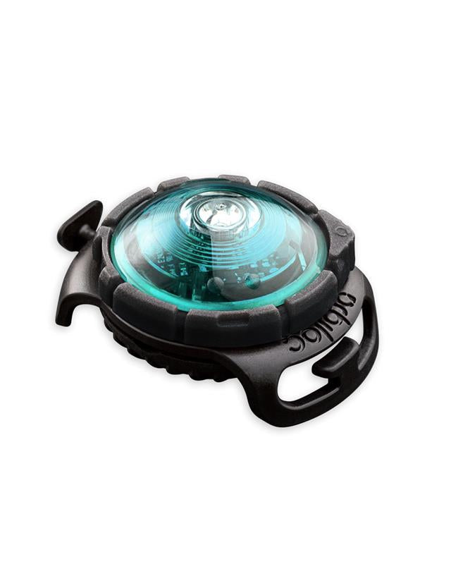 Orbiloc dog dual - sikkerhetslys