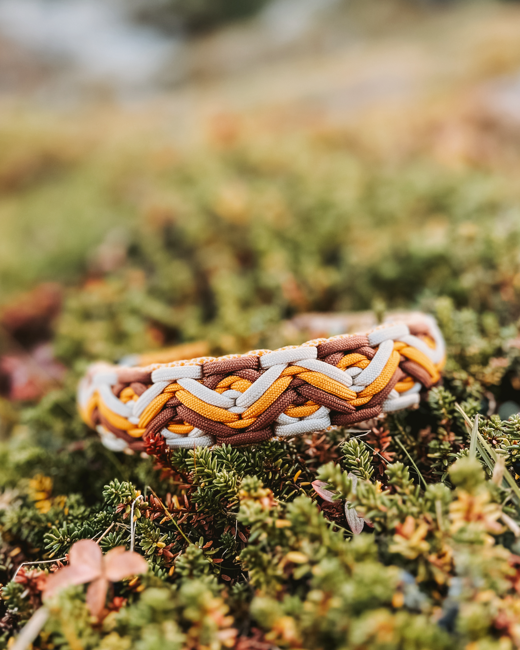 Paracordhalsbånd – fjelltopp