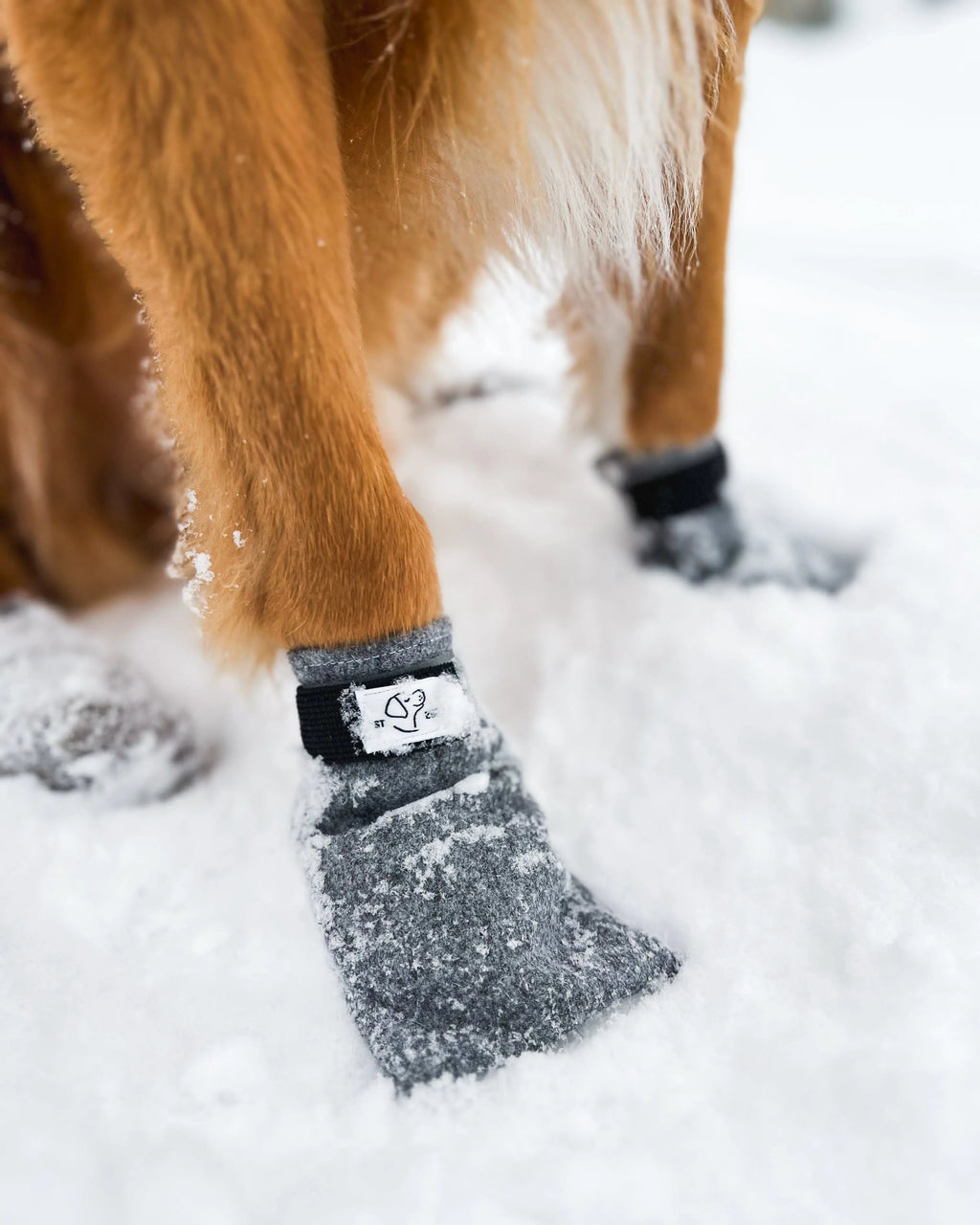 Potesokker Eras Design