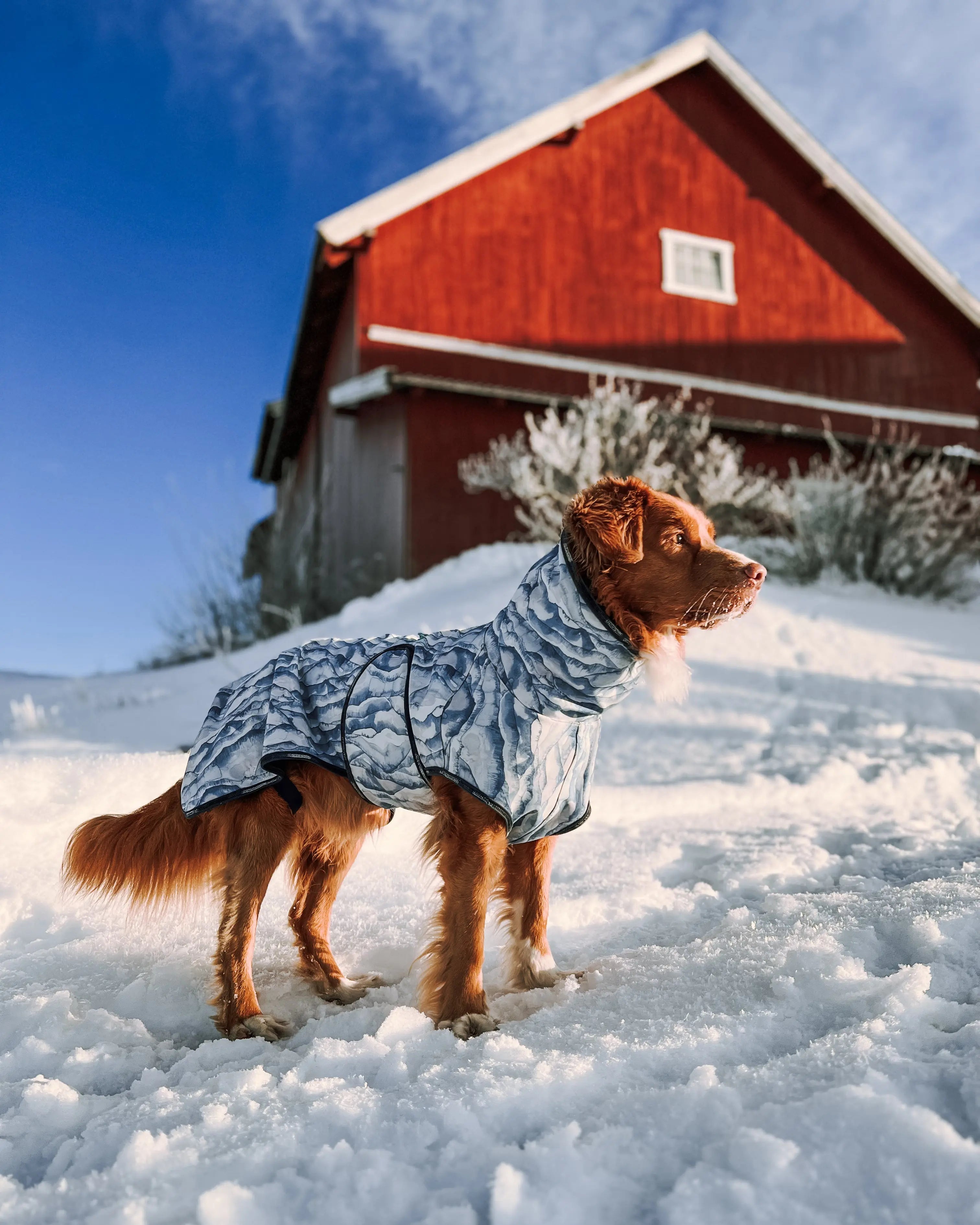 Softshelldekken Eras Design