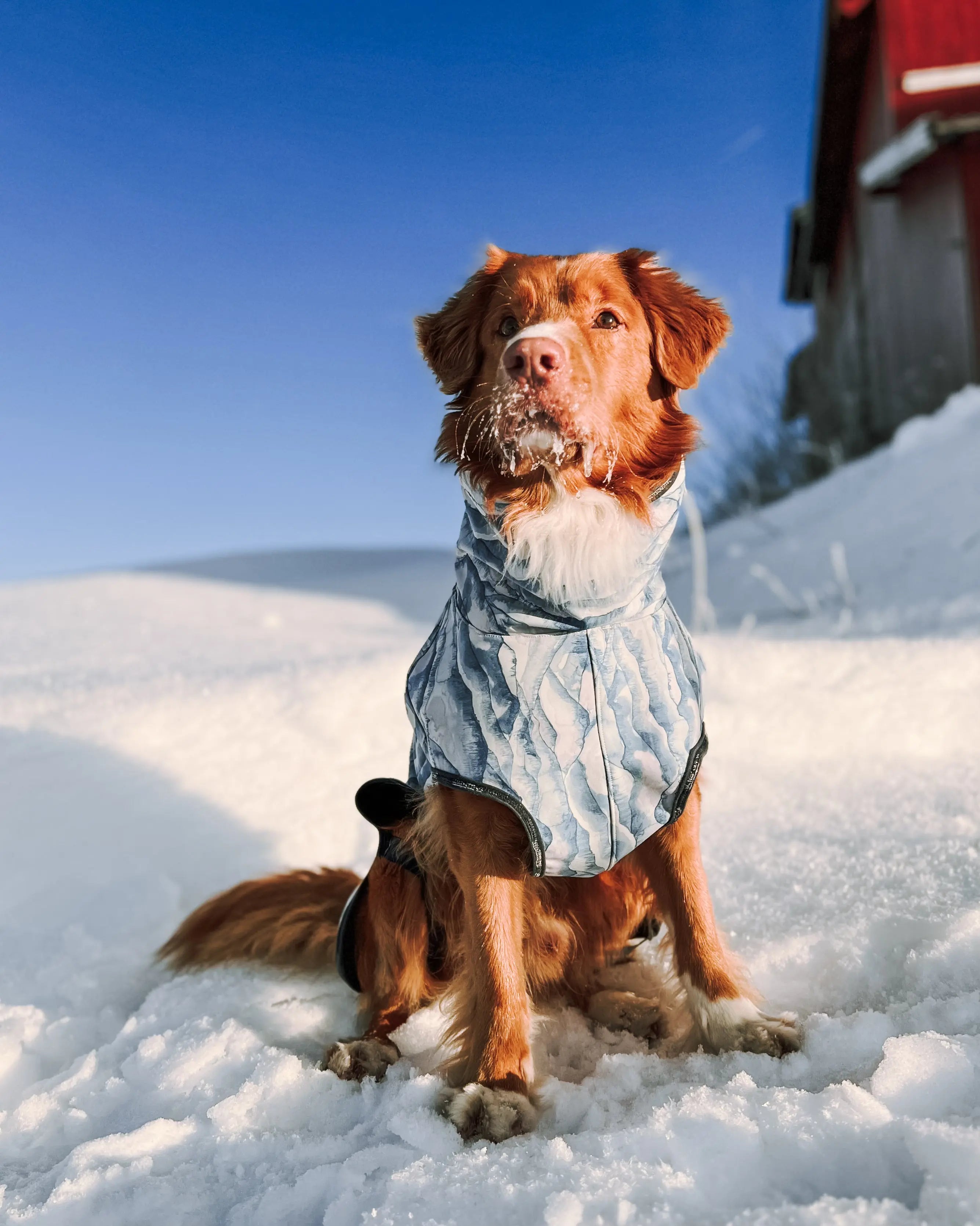 Softshelldekken Eras Design