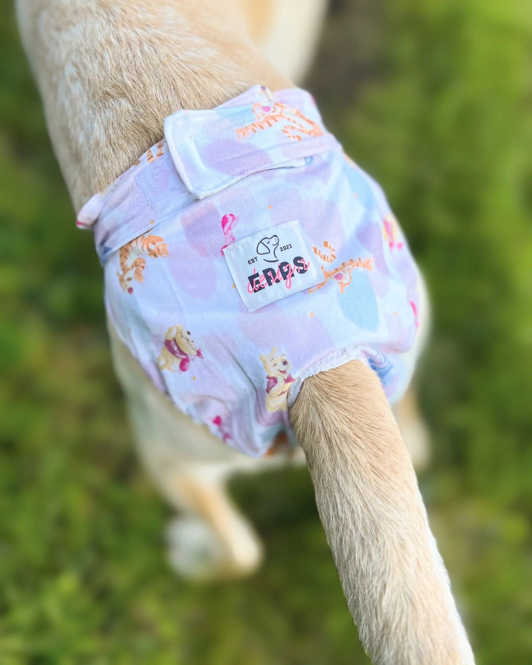 Tispetruse Eras Design