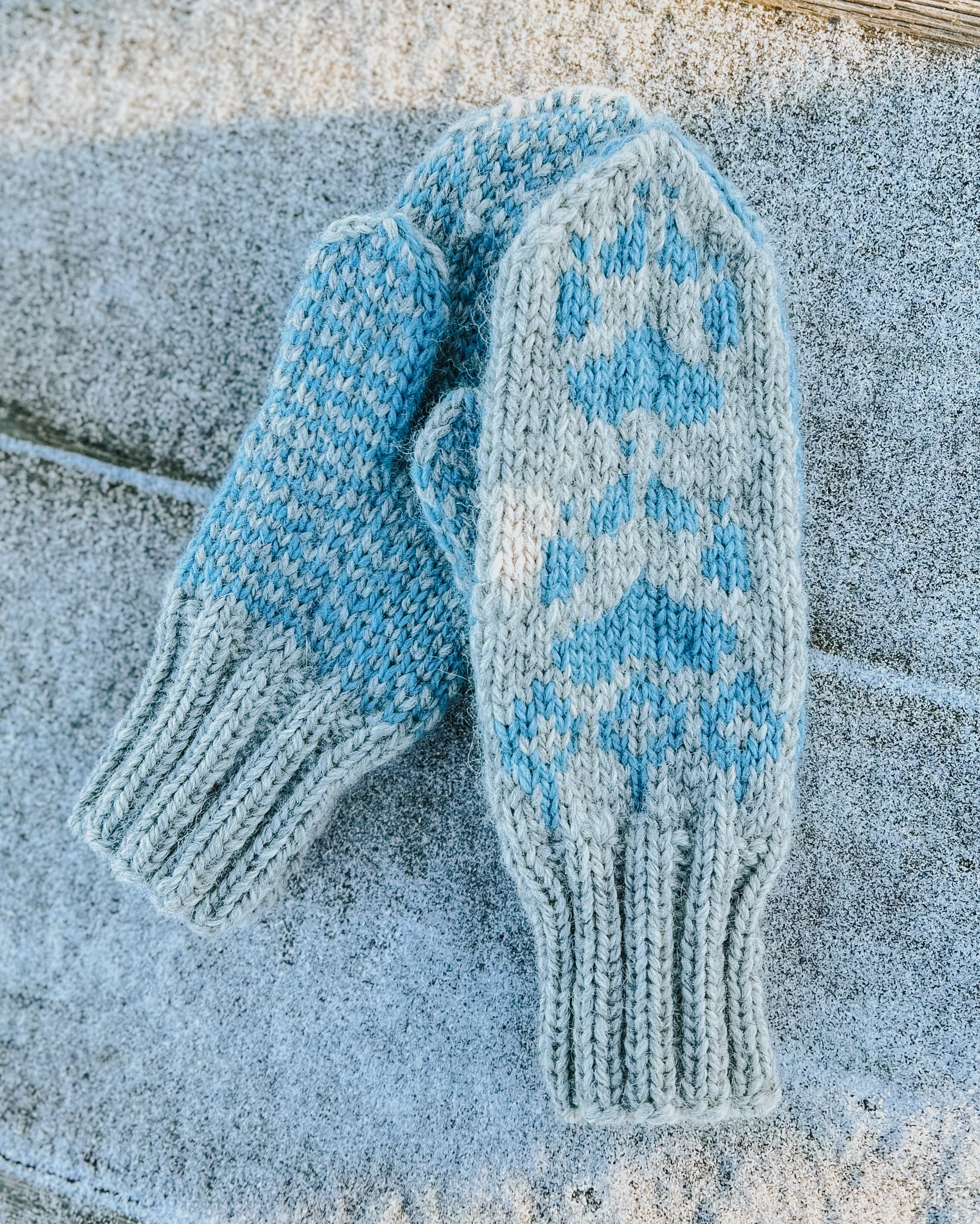 Villmarksvotter - dame