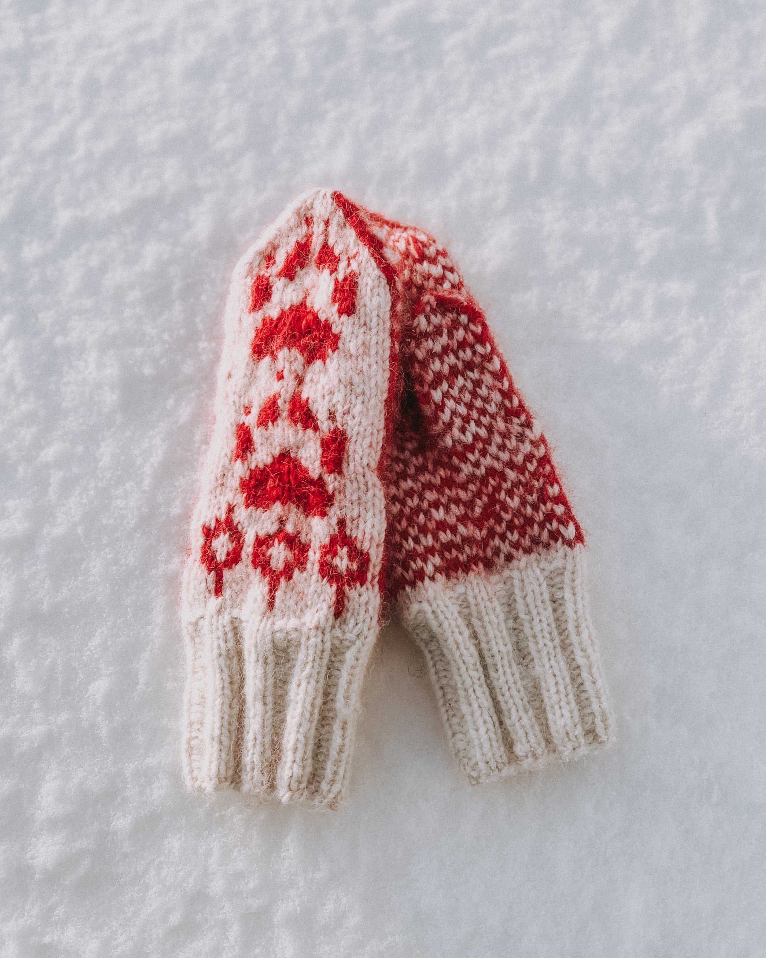 hvite og rød villmarksvotter vinter