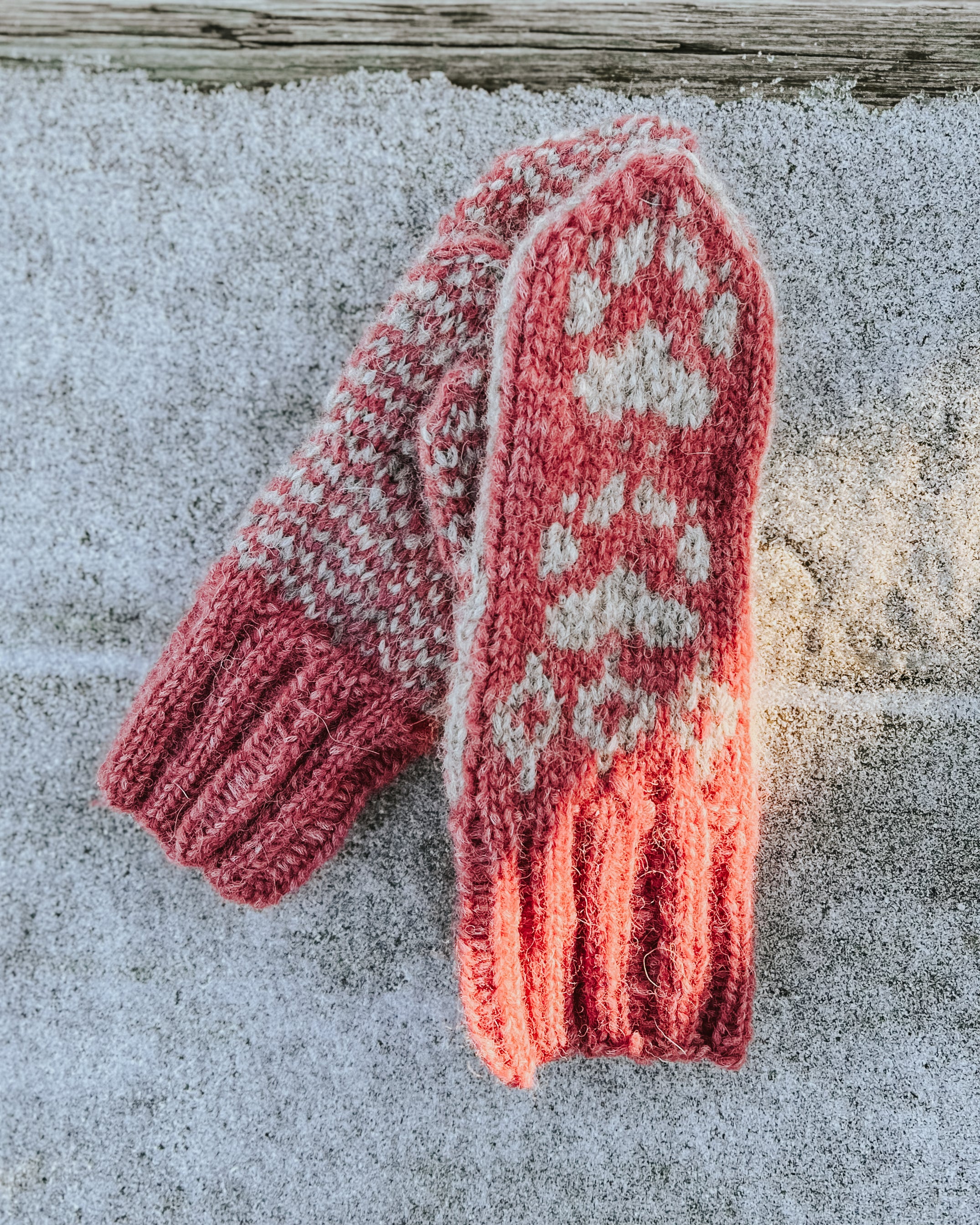 Villmarksvotter – dame