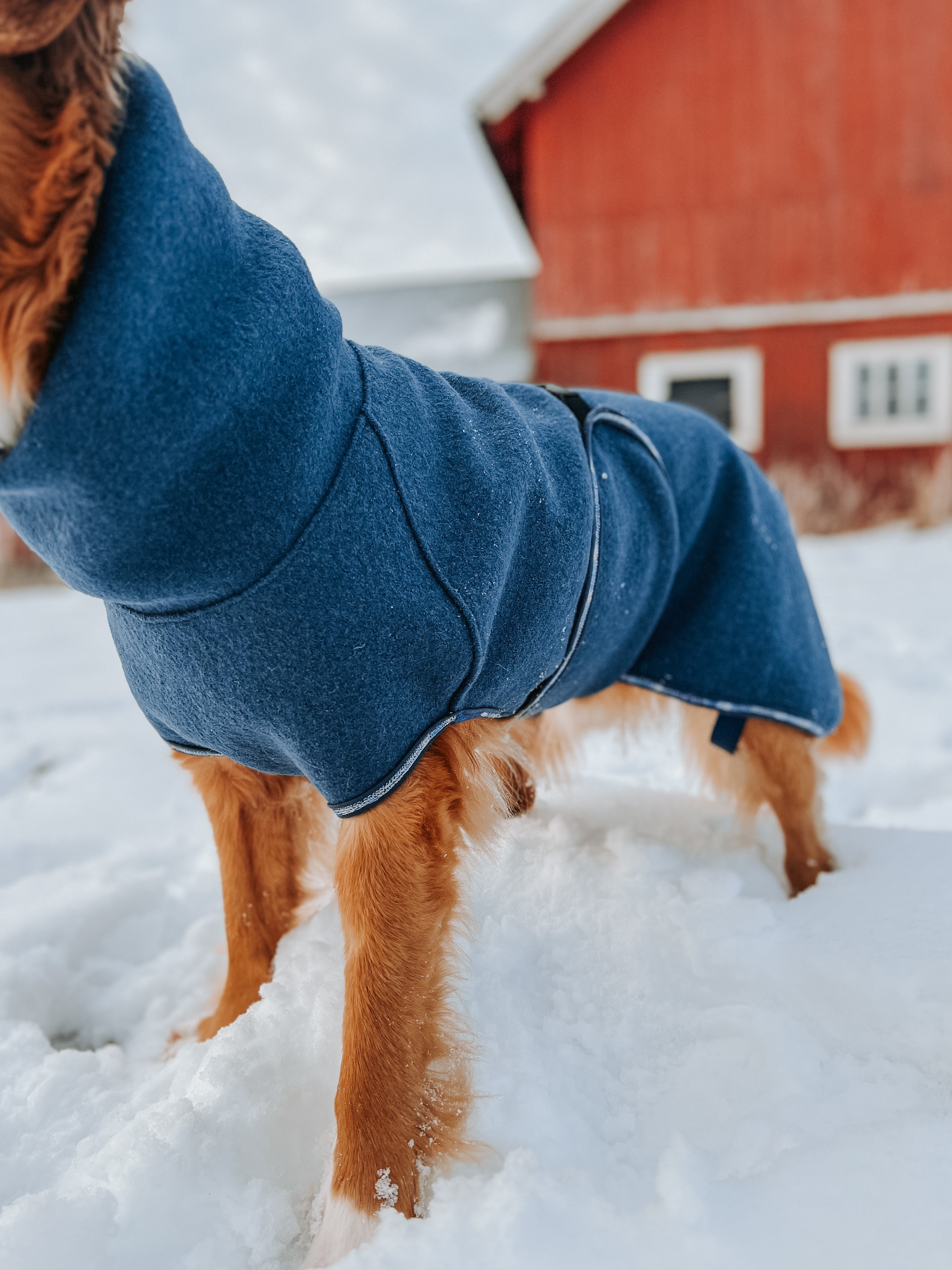håndlaget og skreddersydd ulldekken til hund