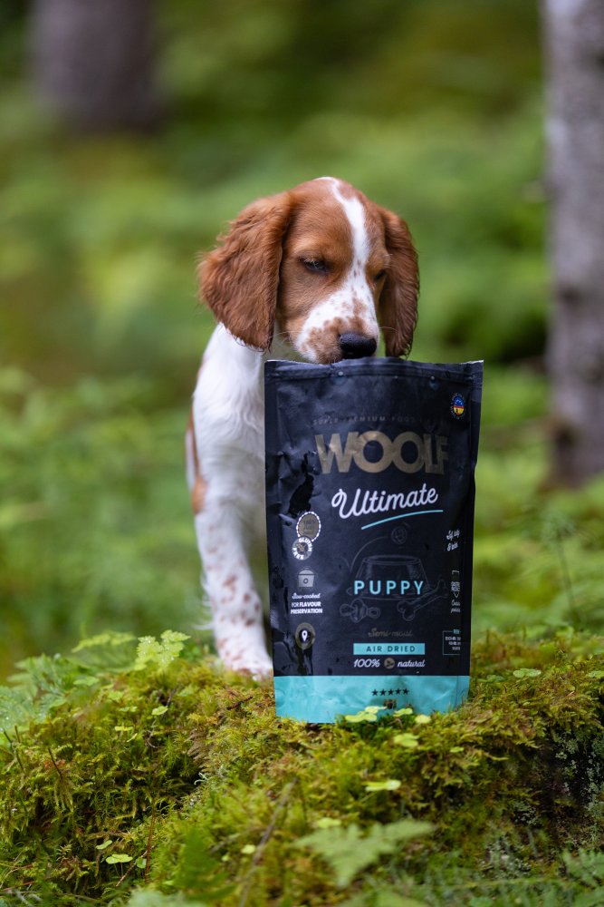 Woolf - ultimate dogfood puppy 1kg