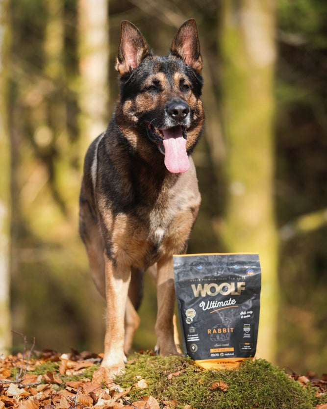 Woolf - ultimate dogfood rabbit 1kg