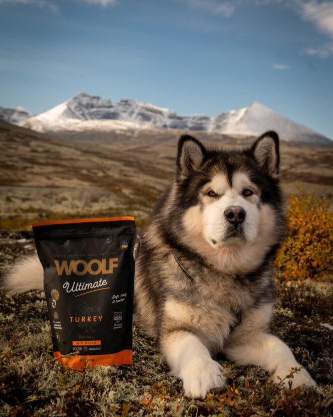 Woolf - ultimate dogfood turkey 1kg