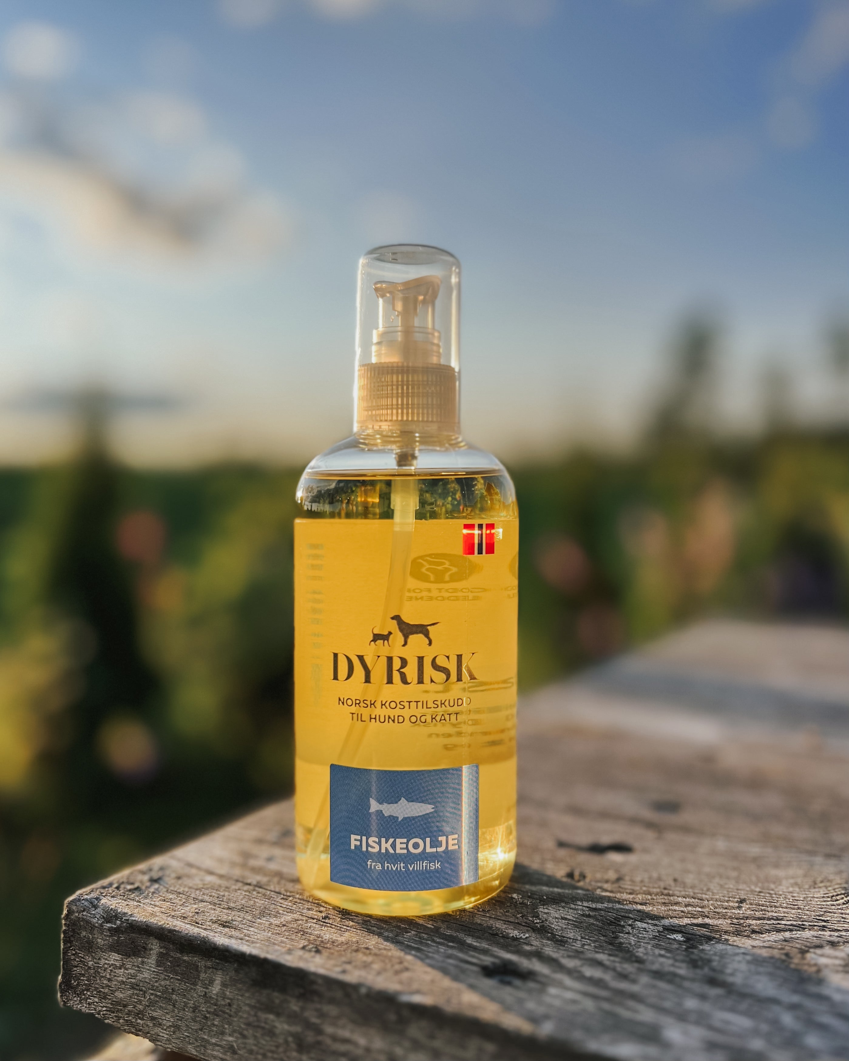 fiskeolje til hund hvit fisk