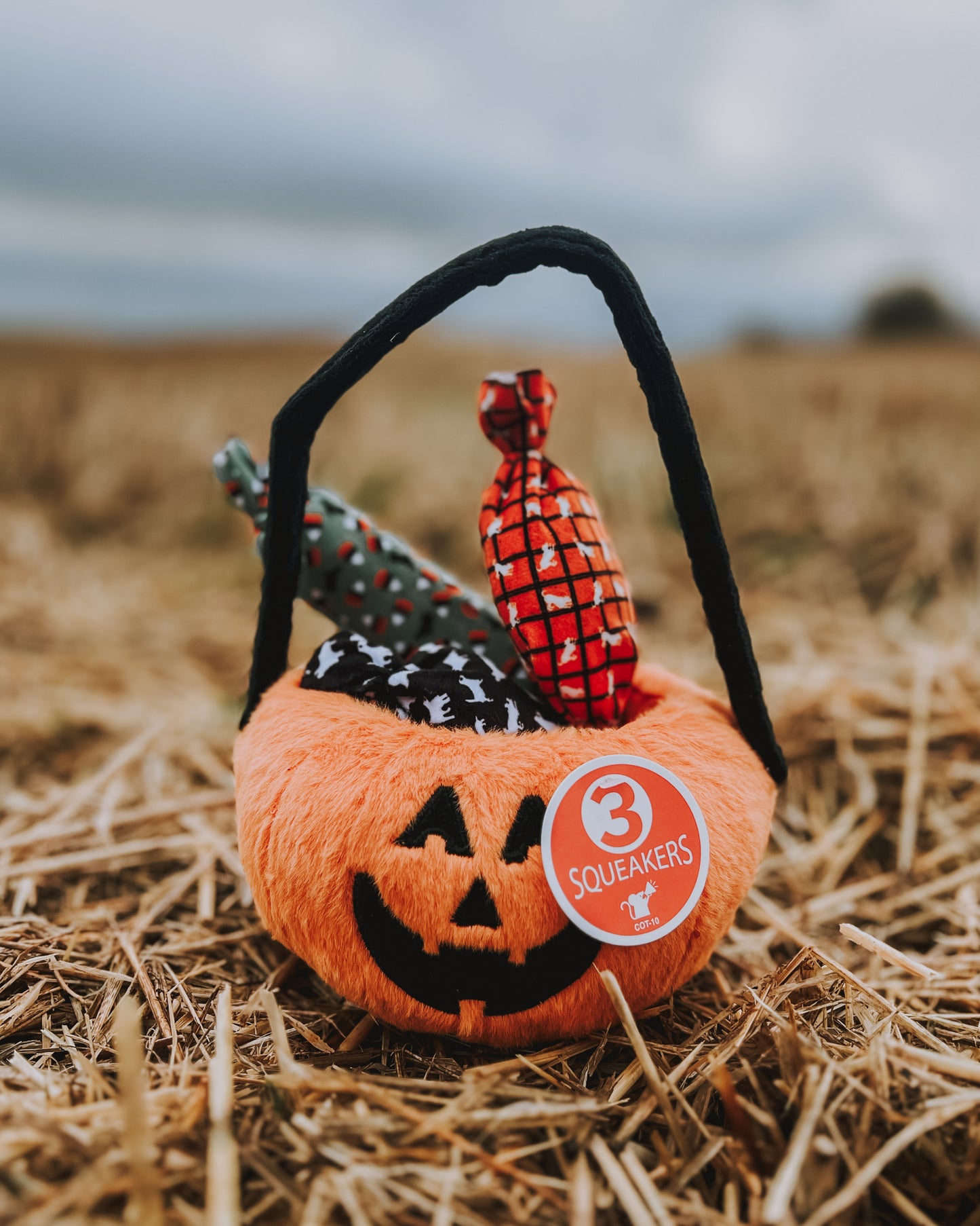 halloween hundeleke