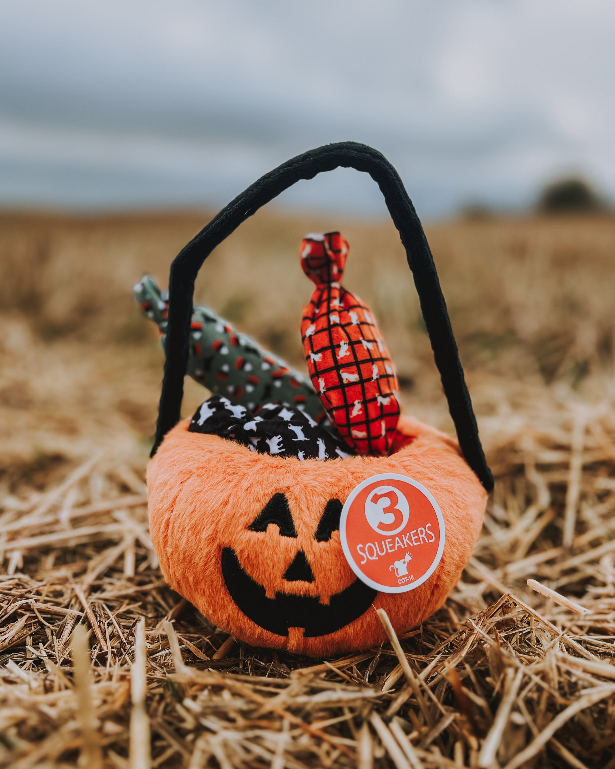 halloween hundeleke
