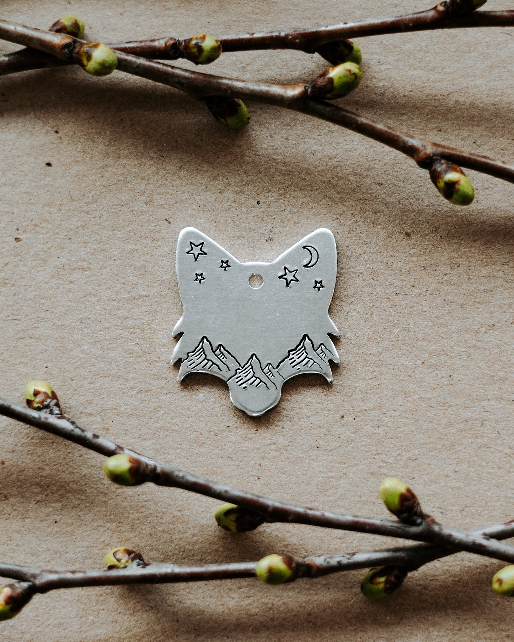 Id-brikke hund fjell