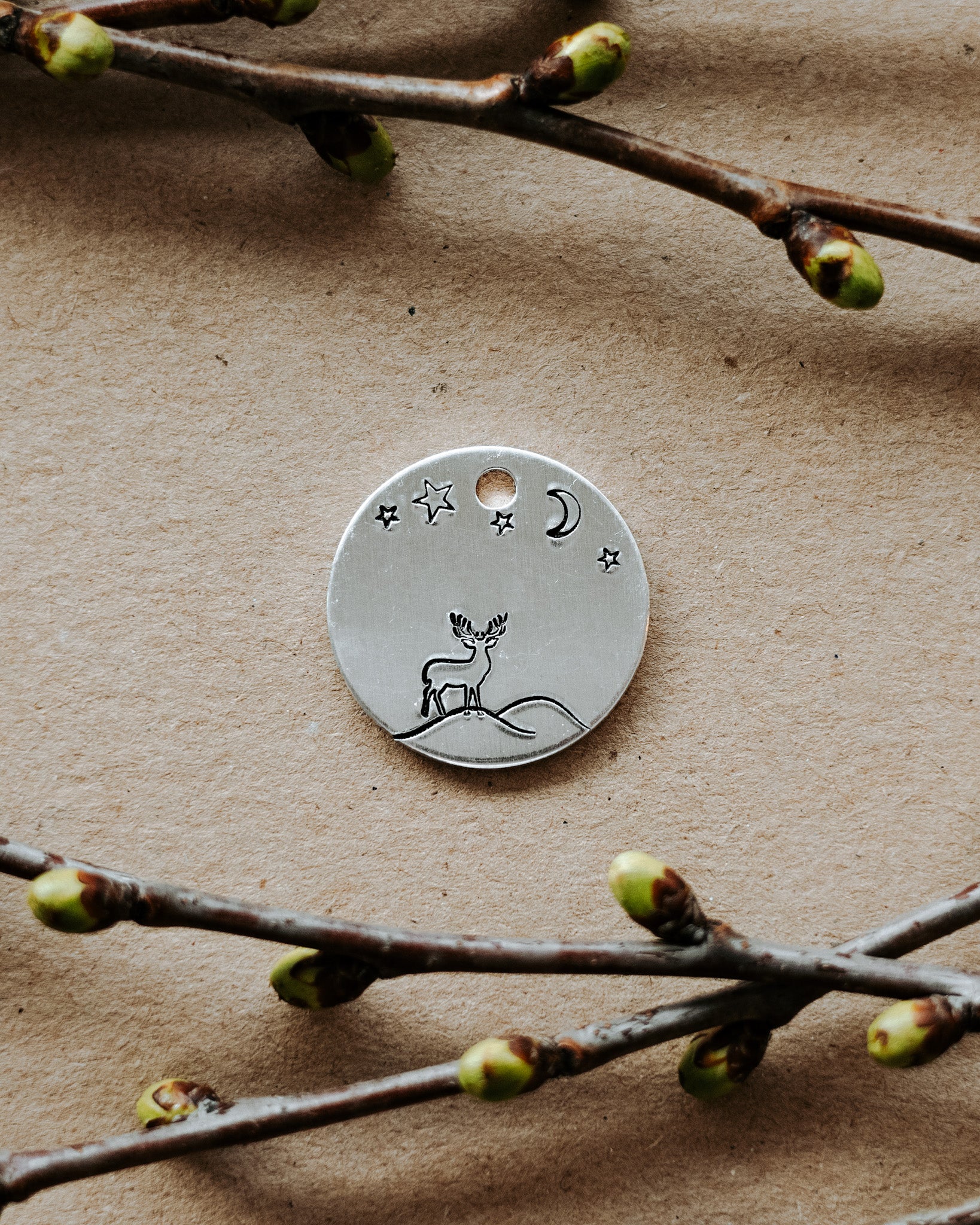 Id-tag hund
