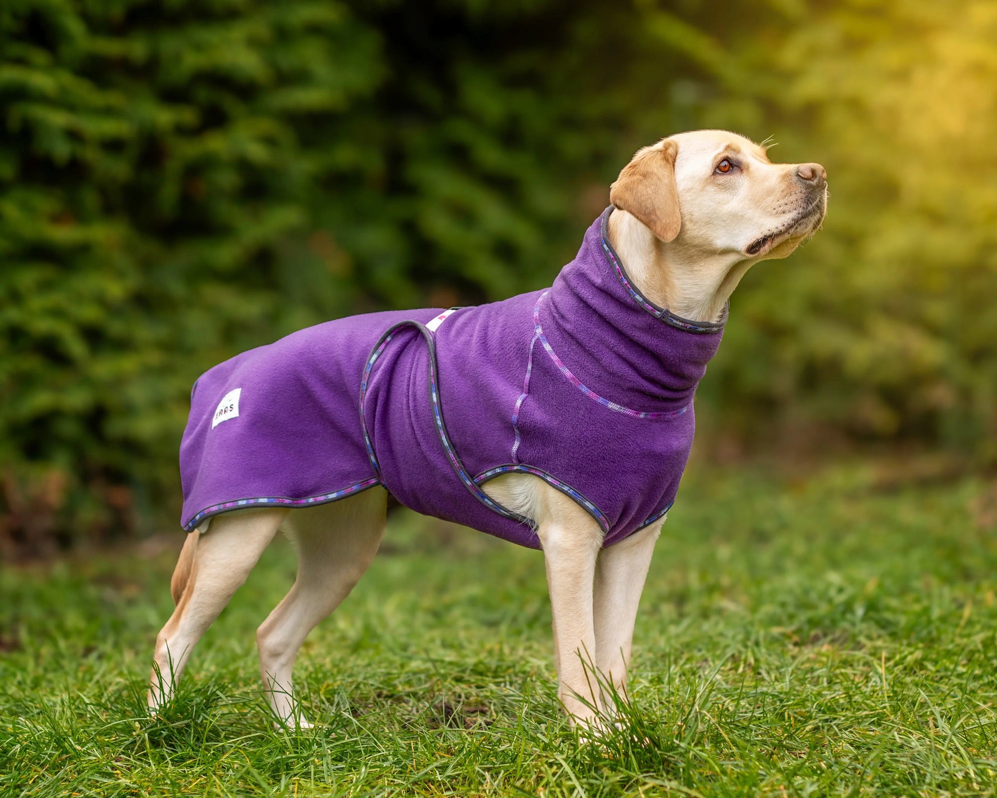 Fleece dekken Eras Design