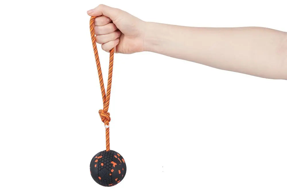 Non-stop dogwear dog ball on rope