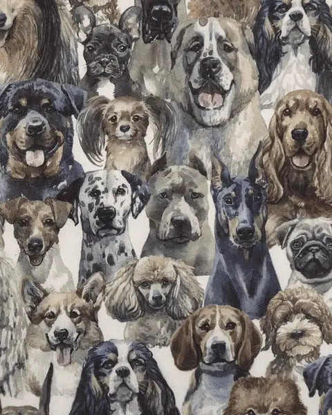 Softshelldekken Eras Design