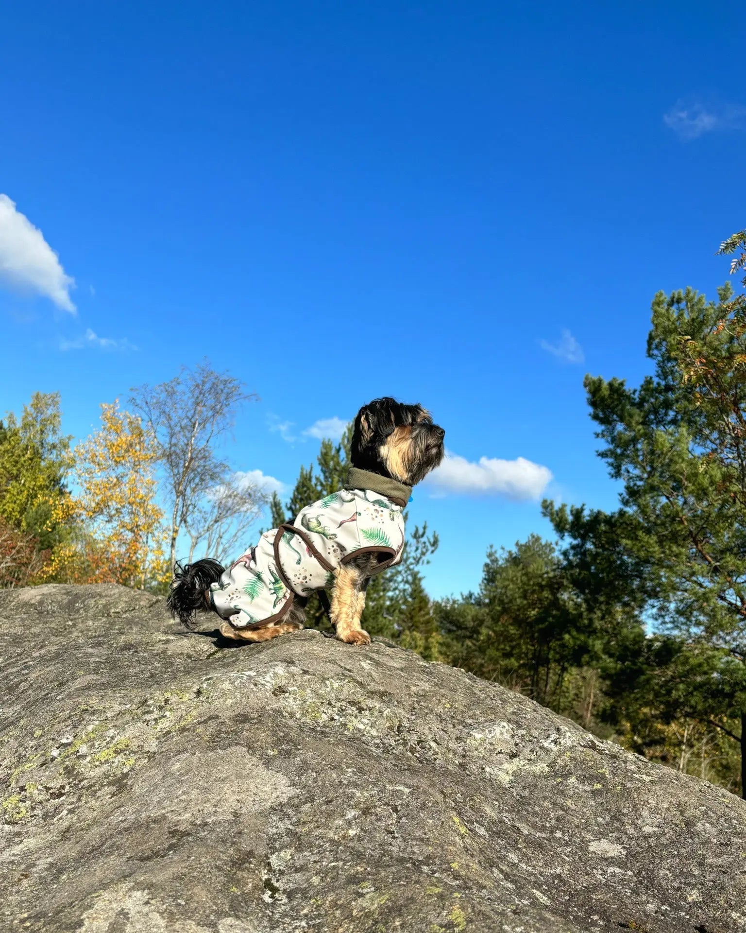 Softshelldekken Eras Design