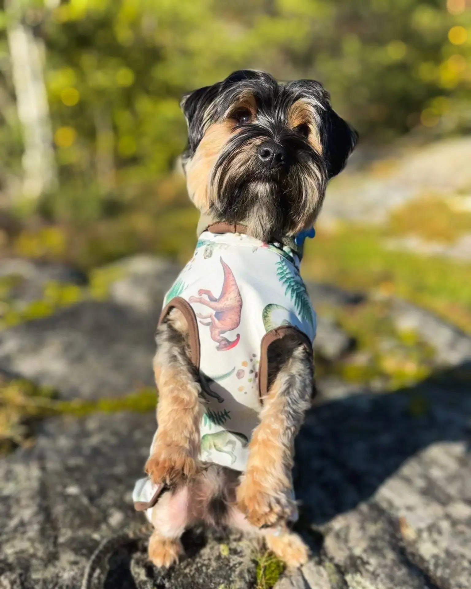 Softshelldekken Eras Design