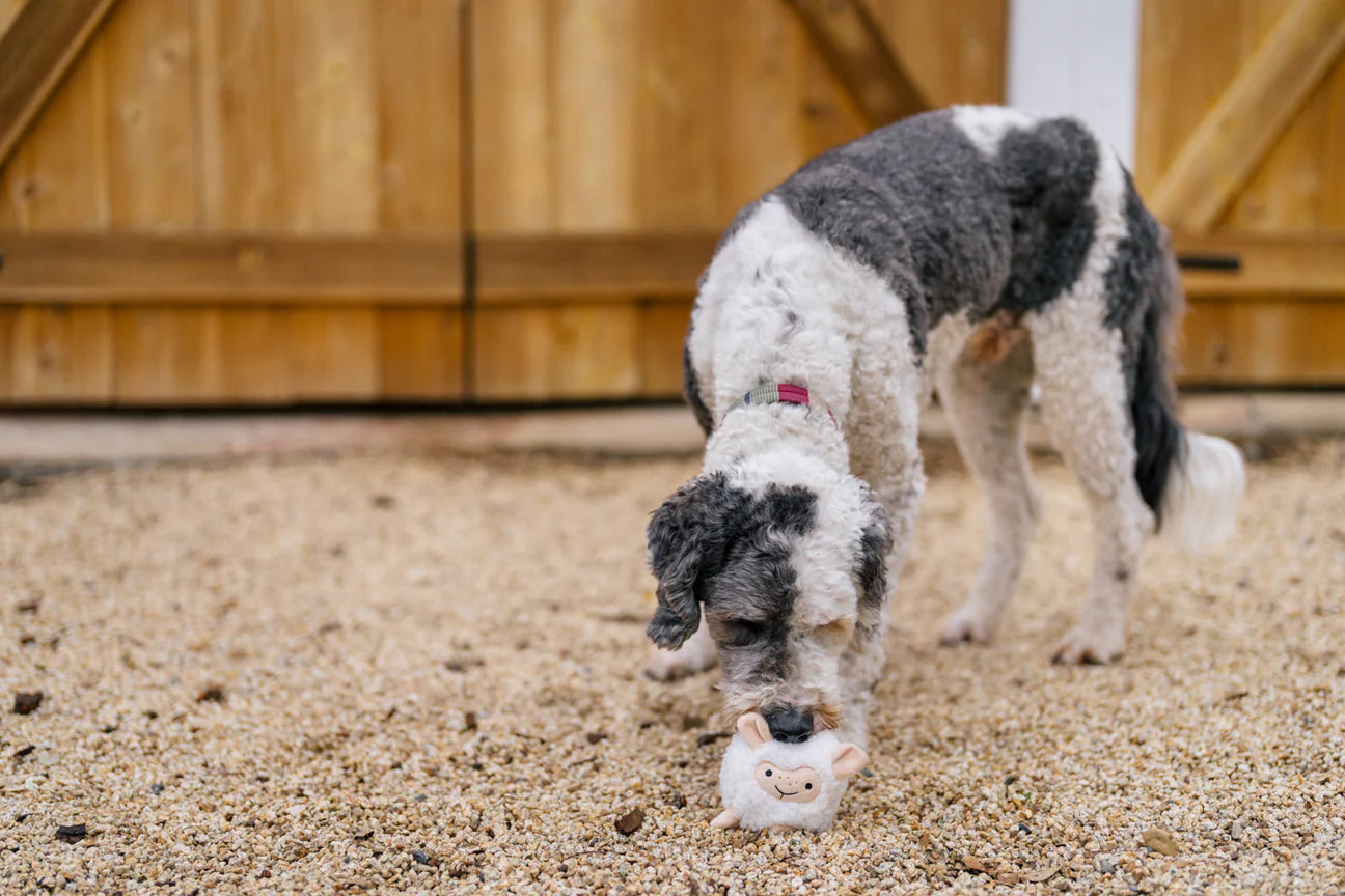 Barnyard Buddies Sadie the Sheep